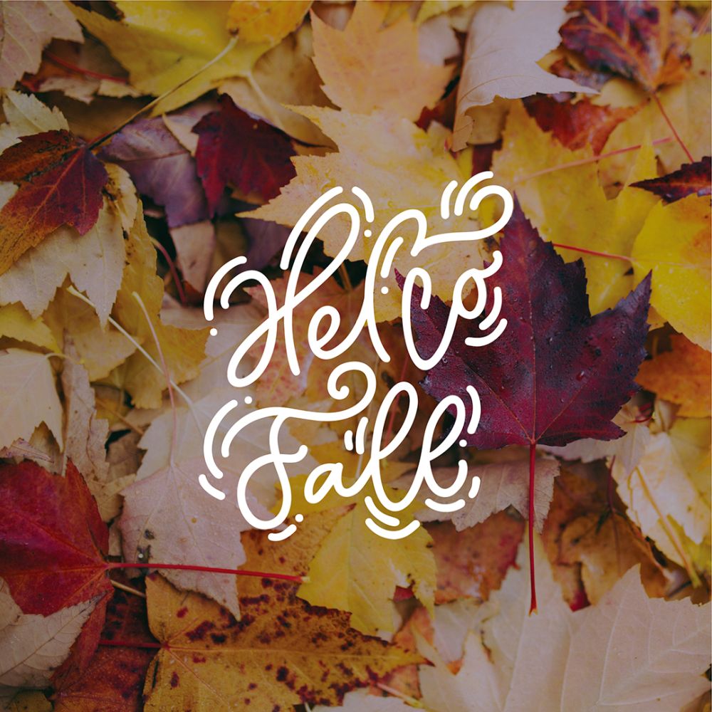 hello fall social media pack