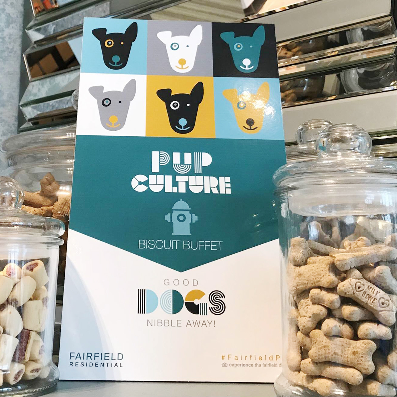 pet friendly apartments treat jar