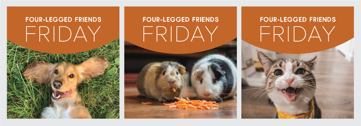 Four-legged friends Friday